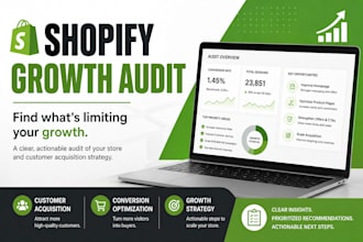 audit your shopify store and customer acquisition strategy