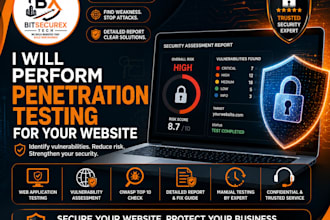perform penetration testing for your website