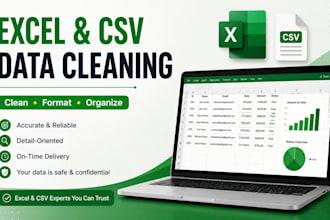 clean format and organize your excel or CSV data