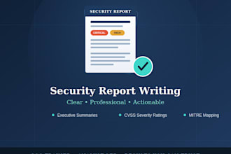 write professional cyber security vulnerability assessment reports