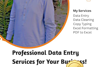 do accurate data entry, excel formatting and data cleaning