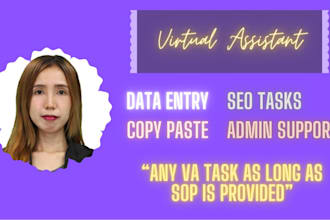do accurate dataentry webresearch  copypaste, and excel work
