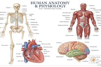 design scientific, medical, educational illustration for you
