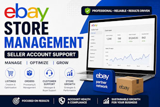 provide ebay store management and seller account support