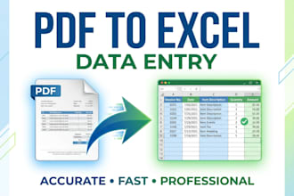 convert PDF to excel and do data entry