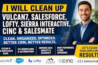 clean up vulcan7 salesforce lofty sierra interactive cinc salesmate