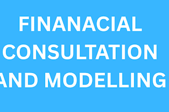 do financial modelling, financial audit, financial consultation