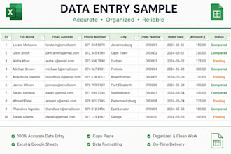 do accurate data entry in ecxel and google sheets