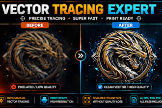 do expert logo vectorization, redrawing,  image to vector
