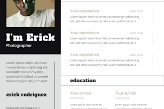 design a professional resume and CV in PDF