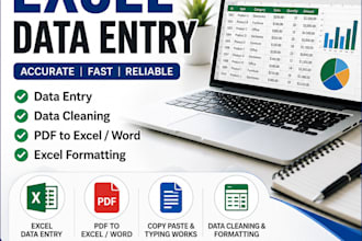 do excel data entry, formatting and data cleaning