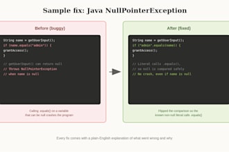 debug and explain your java or python code
