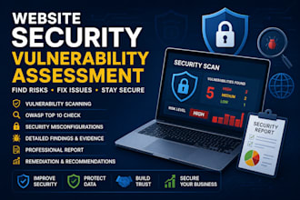 perform a website security audit and vulnerability assessment