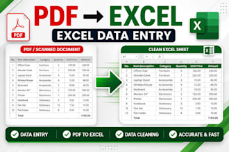 do data entry and convert PDF to excel accurately