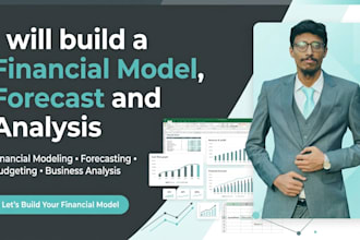 build a financial model, forecast and analysis