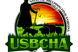 design a professional cowboy logo for your western, ranch