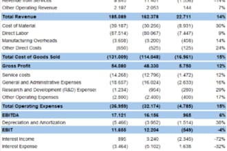 build a professional excel financial model, p and l, and budget tracker