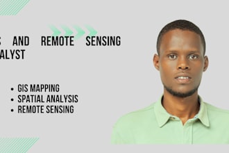 provide professional gis and remote sensing solutions