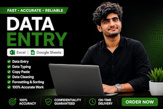 do accurate data entry in excel and google sheets