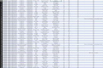 data cleaning and normalizing for you