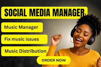 music manager distribute music fix music issues and  social media manager