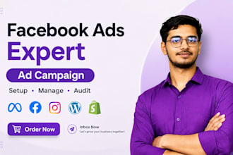 run and manage facebook, instagram ads as meta ads expert