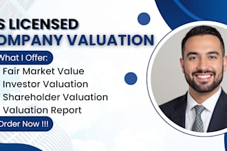 prepare a professional company valuation report for investors
