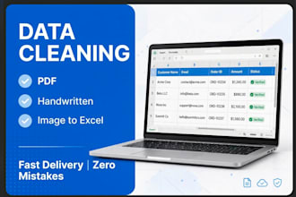 do excel data cleaning , PDF handwritten image to excel with zero mistakes