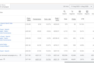 do detailed audit for google ads account