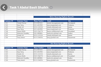 data entry excel sheets