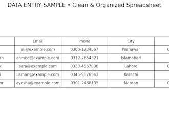 do data entry, excel, copy paste and web research