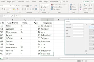 do data entry tasks with accuracy