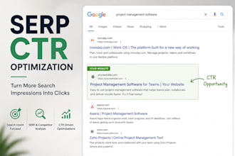 boost google ranking, increase website traffic, maximize serp CTR visibility