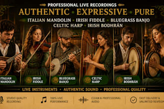 record italian mandolin irish fiddle bluegrass banjo celtic harp irish bodhran