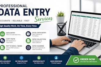 do data formatting, data sorting and excel cleaning for dubai