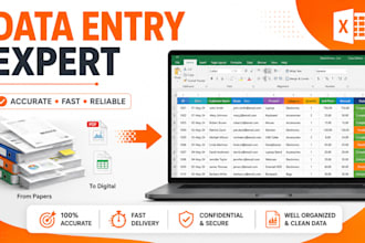 do fast and accurate data entry, excel and copy paste work