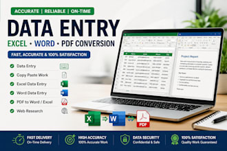 do excel data entry, word formatting and PDF conversion