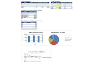 build a professional excel dashboard or business report