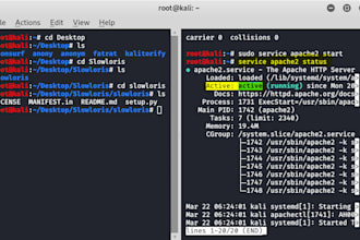 website slowloris attack, ddos attack, ddos website, sql injection down website