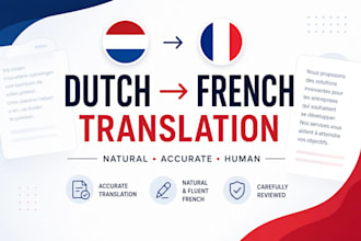 translate dutch to french manually and accurately