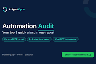 audit your business workflows and create a custom ai automation roadmap
