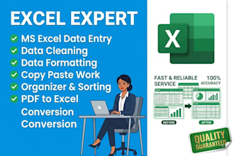 do expert ms excel data entry data cleaning and formatting