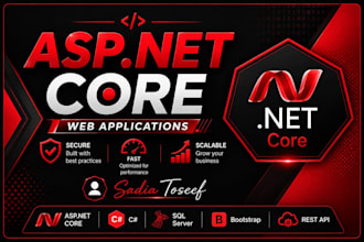 develop a professional  asp net core web applications