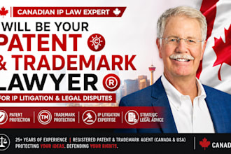 be your patent and trademark lawyer for IP litigation and legal disputes