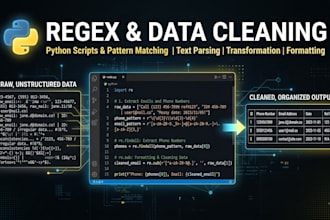 write regex patterns and data cleaning scripts in python