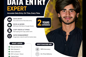 do professional data entry copy paste typing excel and web research