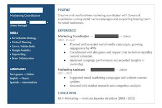 write or improve your professional resume and CV