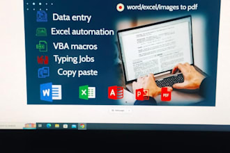 do professional data entry and word excel work