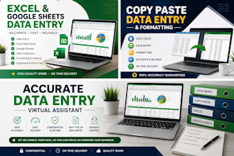 do data entry, copy paste, excel and google sheets work