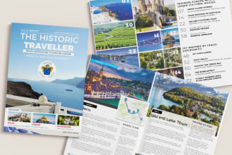 design a pro report, magazine, book and visualize data